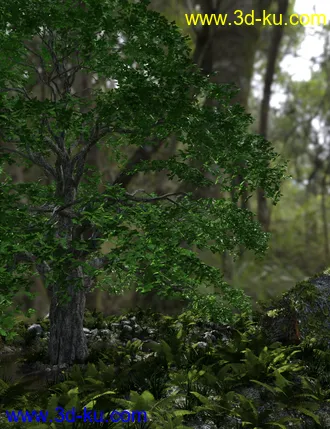 3D打印模型Tree Stump Garden的图片