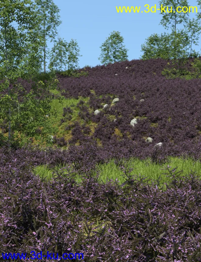 UltraScenery - Heath & Moor and Wasteland模型的图片4