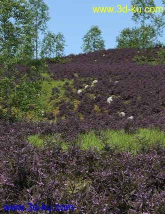 3D打印模型UltraScenery - Heath & Moor and Wasteland的图片