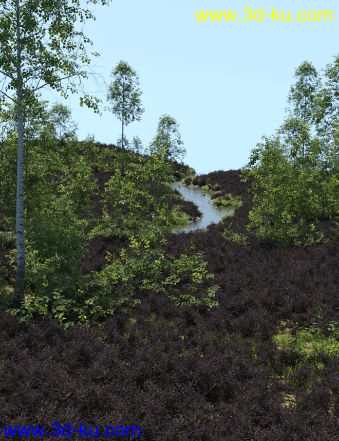 UltraScenery - Heath & Moor and Wasteland模型的图片5