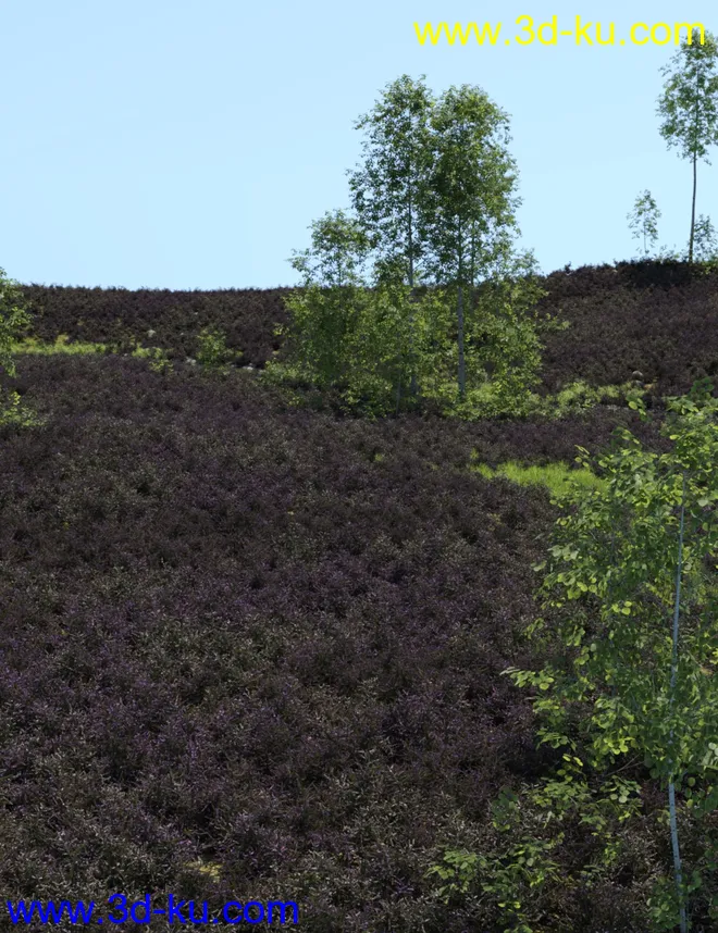 UltraScenery - Heath & Moor and Wasteland模型的图片7