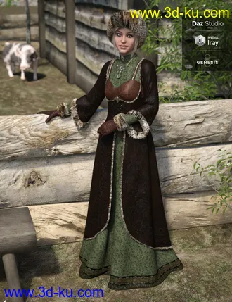 3D打印模型Universal Dress - Vikings的图片