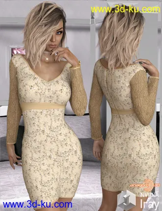 3D打印模型VERSUS - Long Sleeve Lace Dress for Genesis 8 Females的图片