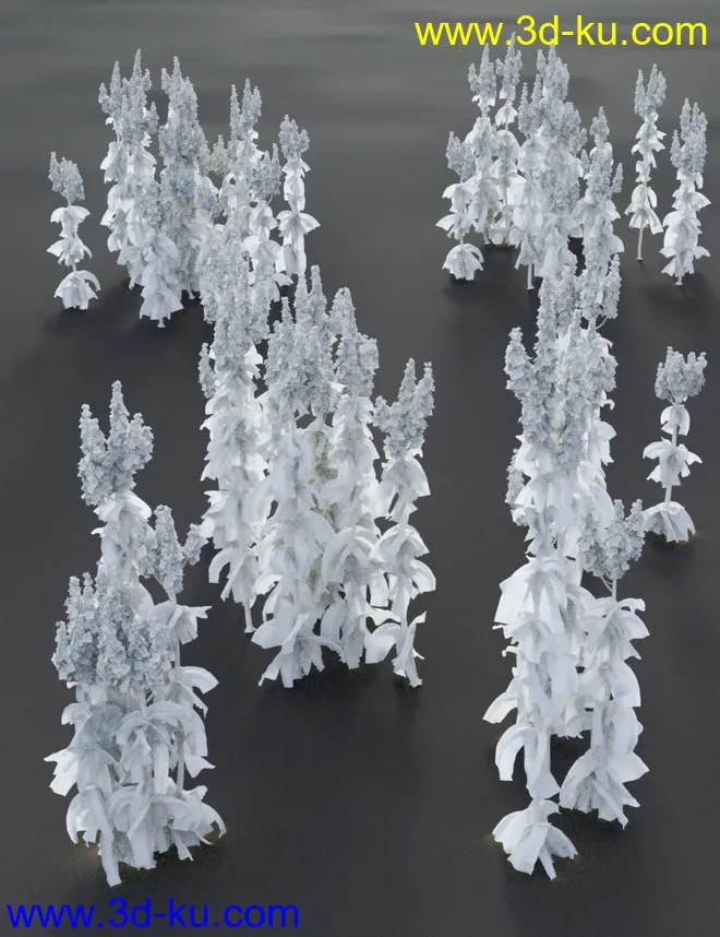 Wildflowers - Tall Weeds and Seed heads模型的图片4