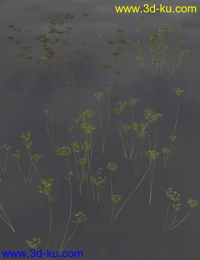 Wildflowers - Tall Weeds and Seed heads模型的图片5