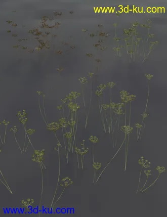 3D打印模型Wildflowers - Tall Weeds and Seed heads的图片