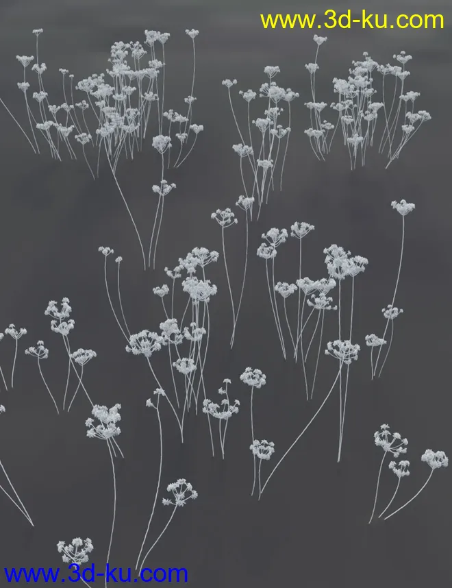 Wildflowers - Tall Weeds and Seed heads模型的图片6