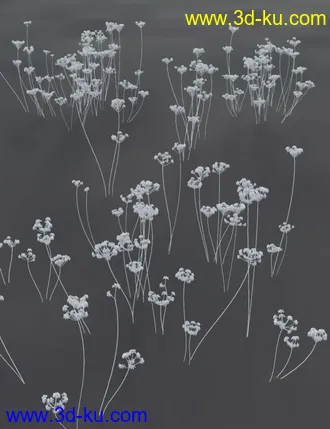 3D打印模型Wildflowers - Tall Weeds and Seed heads的图片