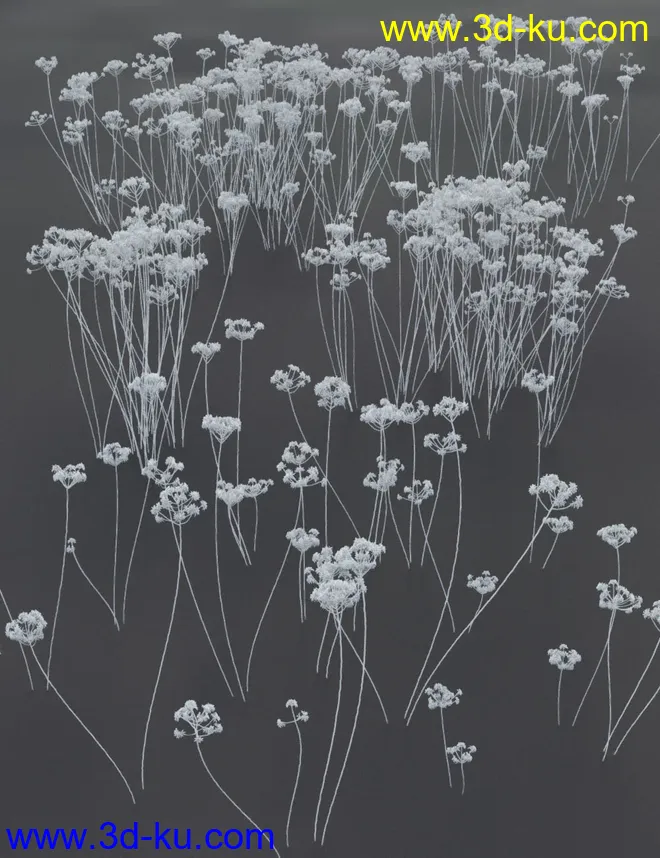 Wildflowers - Tall Weeds and Seed heads模型的图片8