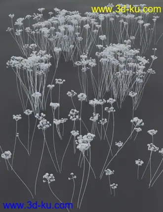 3D打印模型Wildflowers - Tall Weeds and Seed heads的图片