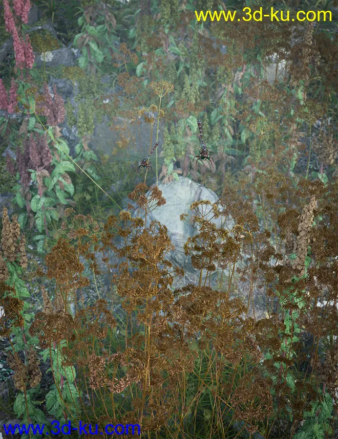 Wildflowers - Tall Weeds and Seed heads模型的图片9