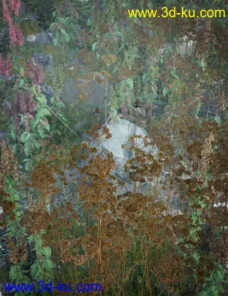 3D打印模型Wildflowers - Tall Weeds and Seed heads的图片