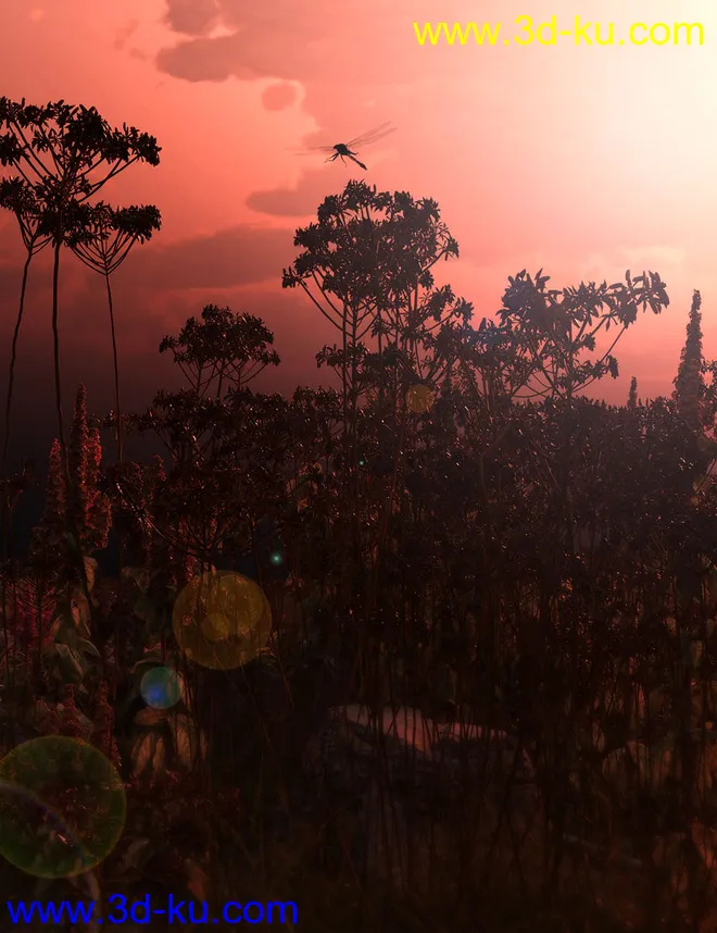 Wildflowers - Tall Weeds and Seed heads模型的图片10