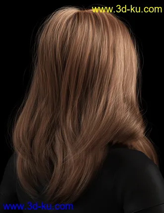 2021-01 Hair for Genesis 8 Females模型的图片3