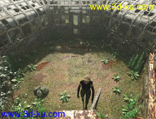 Abandoned Greenhouse模型的图片8