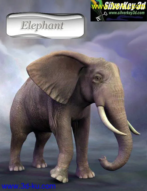 African Elephant模型的图片3