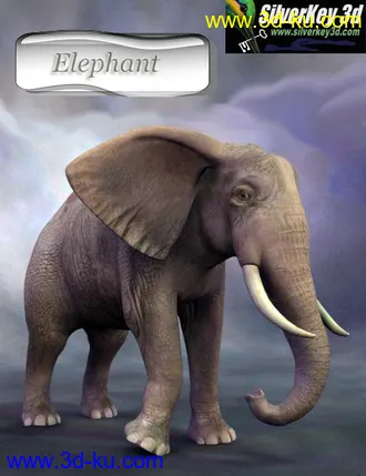 3D打印模型African Elephant的图片