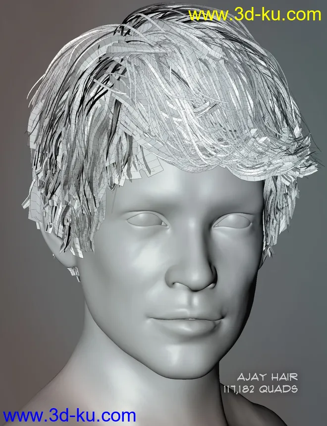 Ajay Hair for Genesis 8 and 8.1模型的图片12