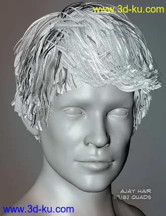 3D打印模型Ajay Hair for Genesis 8 and 8.1的图片