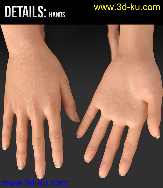 Akari HD for Genesis 8 Female模型的图片10