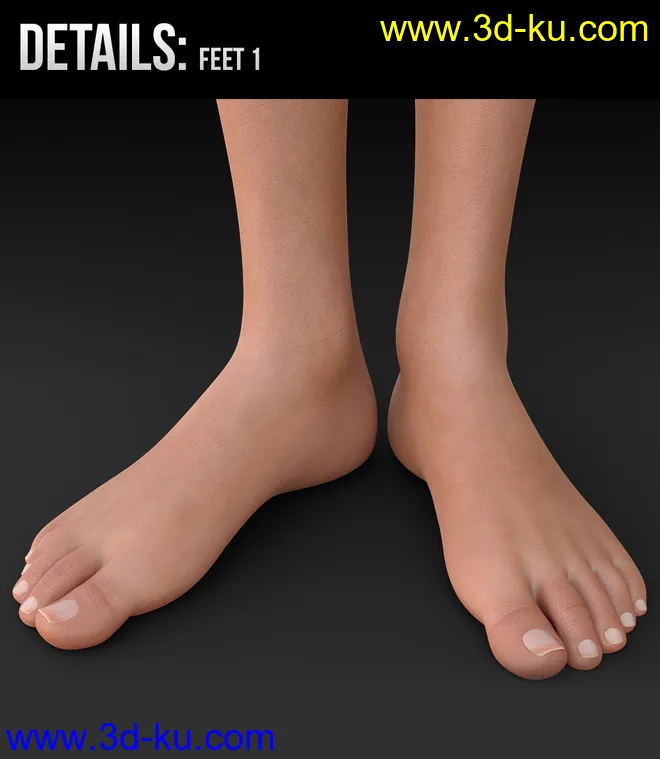 Akari HD for Genesis 8 Female模型的图片12