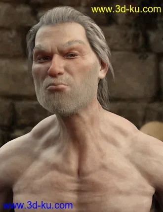 3D打印模型Albane III for Genesis 8 Male with dForce Hair的图片