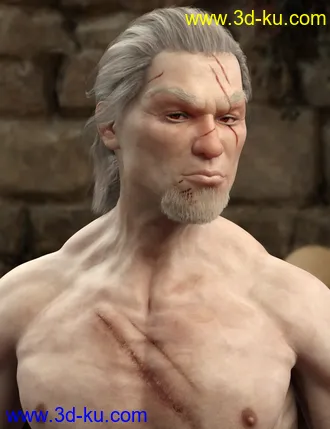 3D打印模型Albane III for Genesis 8 Male with dForce Hair的图片