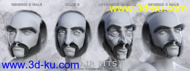 Alchemist Hair & Beard for Genesis 3 and 8 Males模型的图片6