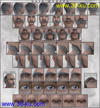 3D打印模型Alchemist Hair & Beard for Genesis 3 and 8 Males的图片