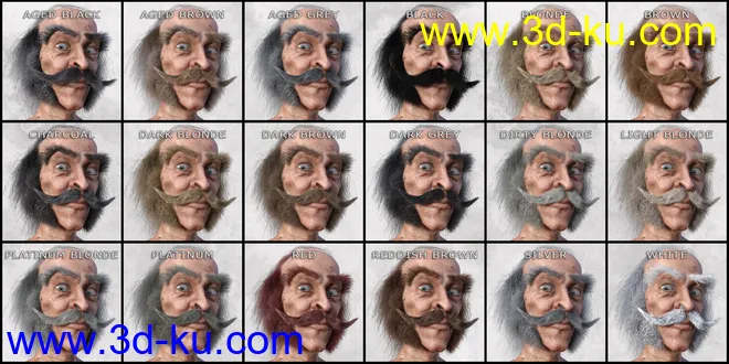 Alchemist Hair & Beard for Genesis 3 and 8 Males模型的图片10