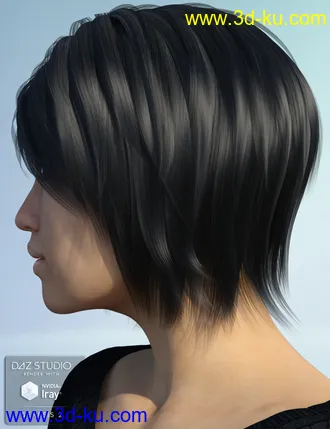 3D打印模型Alyssa Hair for Genesis 2 Female(s)的图片