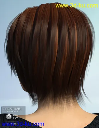 3D打印模型Alyssa Hair for Genesis 2 Female(s)的图片