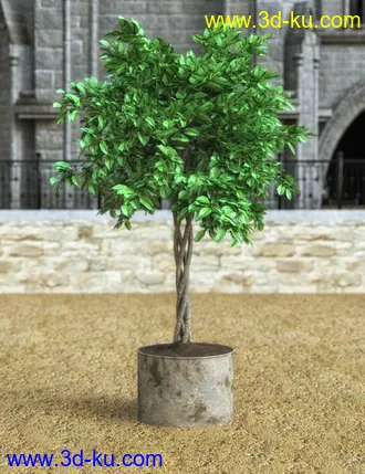 Amalgard模型的图片14