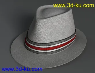 3D打印模型Amazing Hat的图片