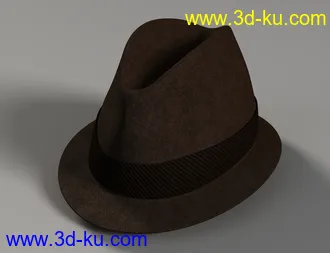 3D打印模型Amazing Hat的图片