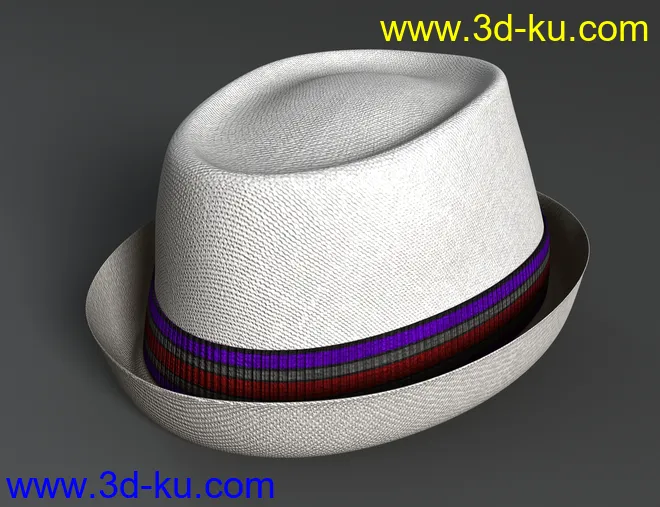 Amazing Hat模型的图片8