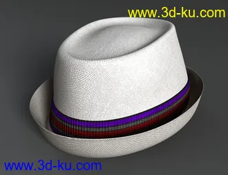 3D打印模型Amazing Hat的图片