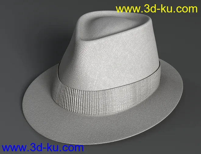 Amazing Hat模型的图片9