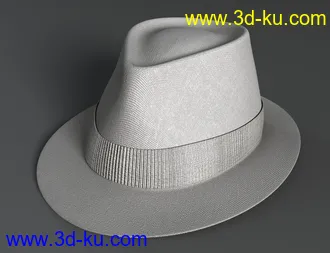 3D打印模型Amazing Hat的图片