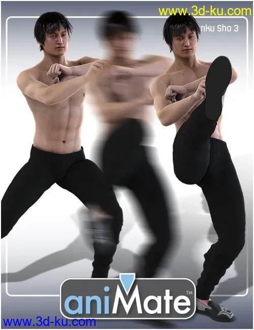 aniMate Martial Arts Combos模型的图片1