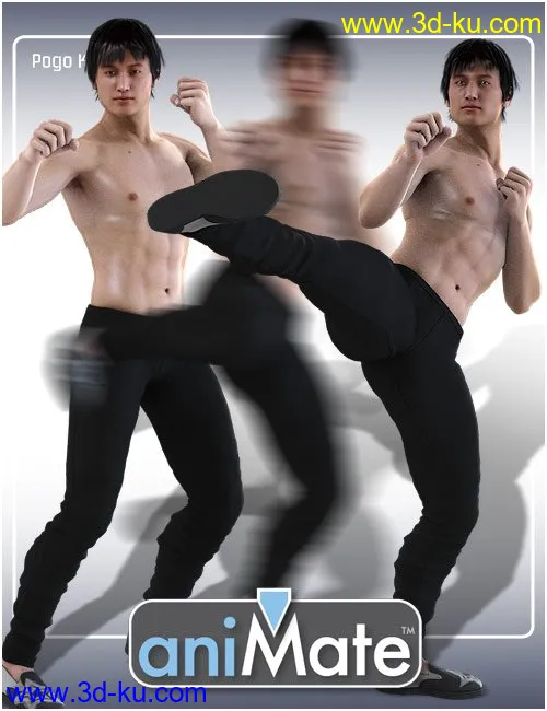 aniMate Martial Arts Kicks模型的图片1