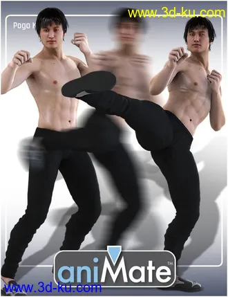 3D打印模型aniMate Martial Arts Kicks的图片