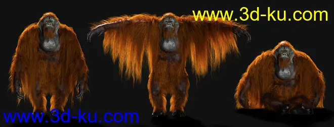Anthropomorphs - Orangutan for Genesis 8 Male模型的图片2