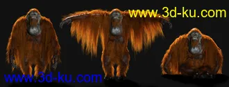 3D打印模型Anthropomorphs - Orangutan for Genesis 8 Male的图片