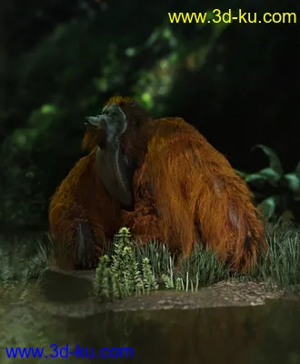 3D打印模型Anthropomorphs - Orangutan for Genesis 8 Male的图片