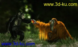 3D打印模型Anthropomorphs - Orangutan for Genesis 8 Male的图片