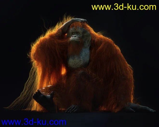 Anthropomorphs - Orangutan for Genesis 8 Male模型的图片6