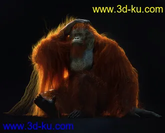 3D打印模型Anthropomorphs - Orangutan for Genesis 8 Male的图片