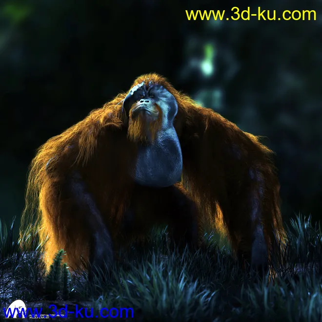 Anthropomorphs - Orangutan for Genesis 8 Male模型的图片7