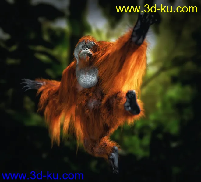Anthropomorphs - Orangutan for Genesis 8 Male模型的图片8